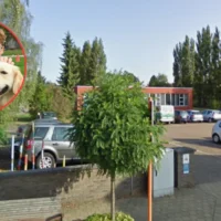 Geluwe Futura School adds 3 classroom dogs, MP Werbrouck supports plan