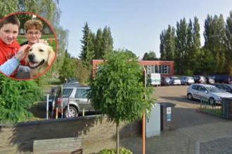 Geluwe Futura School adds 3 classroom dogs, MP Werbrouck supports plan