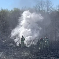 Genk, heath fire burns over 1 hectare near Zwartberg airport today