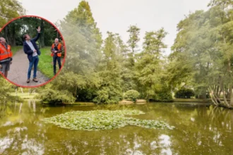 Genk invests £194K to transform 12-hectare Molenvijver park