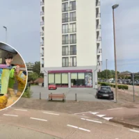 Genk kids paint stray cat shelters built by non-profit organisation Bo