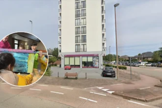 Genk kids paint stray cat shelters built by non-profit organisation Bo