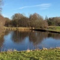 Genk transforms Thor Lake into swimming oasis by April 2025