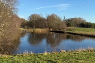 Genk transforms Thor Lake into swimming oasis by April 2025