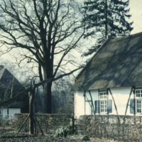 Genk’s Bokrik uncovers hidden slide collection Curator Hilde Schoefs seeks acid-free frames