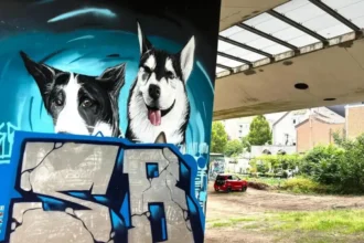 Genk's Graffiti community mourns loss of iconic proposal art