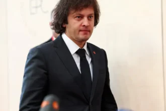 Georgian PM accuses European Union of meddling in protests