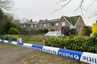 Ghent 55-year-old night shop owner dies after stabbing