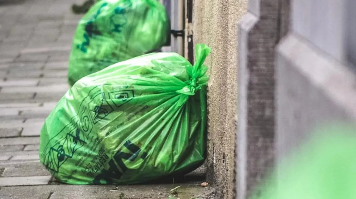 Ghent Snow halts waste collection and recycling parks today