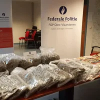 Ghent court sentences Chinese gang for 2 tons of Cannabis