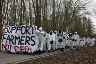 Ghent port Code rood blocks Cargill, protests agro-industry