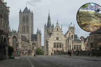 Ghent protects €100,000 trees with sprinklers on Bijloke ring road