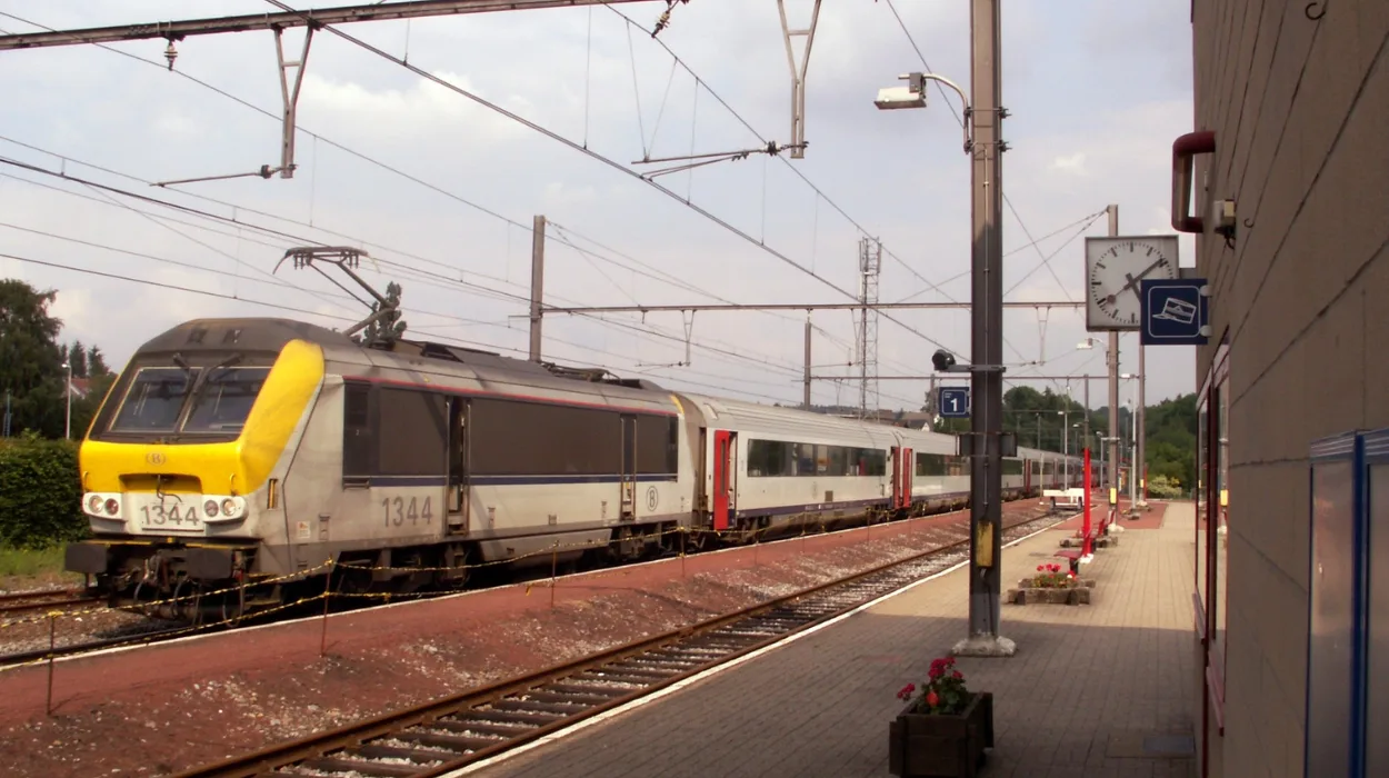 Grass Fires Disrupt Train Traffic Between Holsbeek and Aarschot