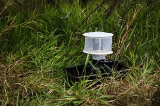 West Nile virus research showing Culex mosquito and virus particles studied by European scientists