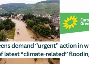 Greens-demand-urgent-action-in-wake-of-latest-climate-related-flooding