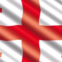 GreensEFA demand a rerun of Georgia's parliamentary elections