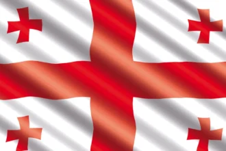 GreensEFA demand a rerun of Georgia's parliamentary elections