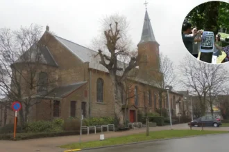 Gullegem carnival relocation sparks debate over tree removal