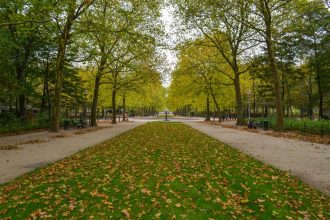 Brussels park affected by closures during Storm Austen in Belgium on 23 October 2026.