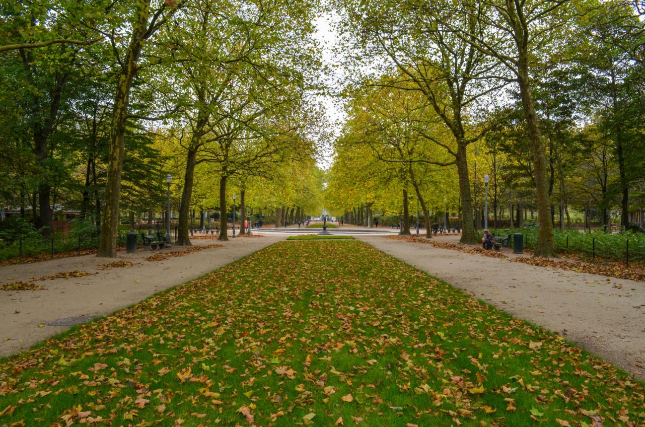 Brussels park affected by closures during Storm Austen in Belgium on 23 October 2026.