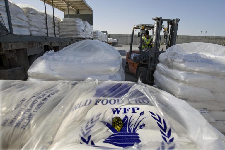 Global Hunger Crisis Intensifies as Food Insecurity Rises Worldwide