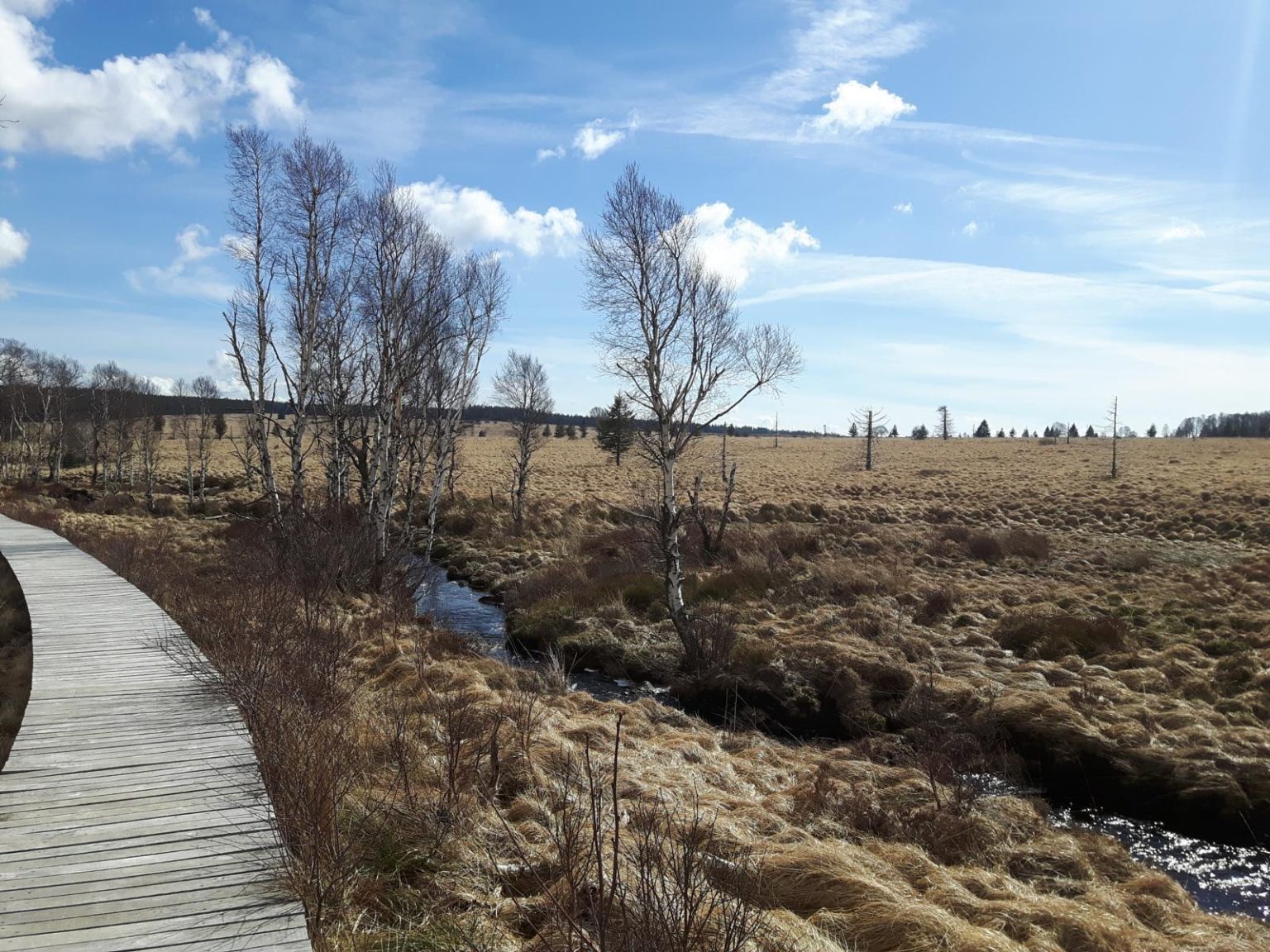 Panoramic view of the High Fens region affected by the Belgium wildfire
