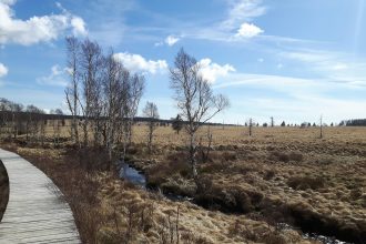 Panoramic view of the High Fens region affected by the Belgium wildfire