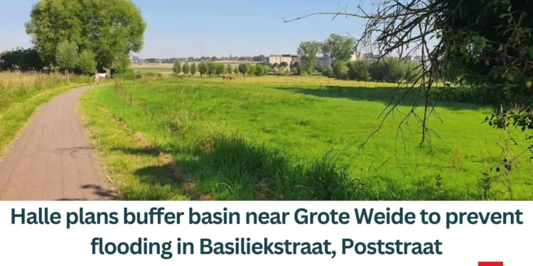 Halle-plans-buffer-basin-near-Grote-Weide-to-prevent-flooding-in-Basiliekstraat-Poststraa