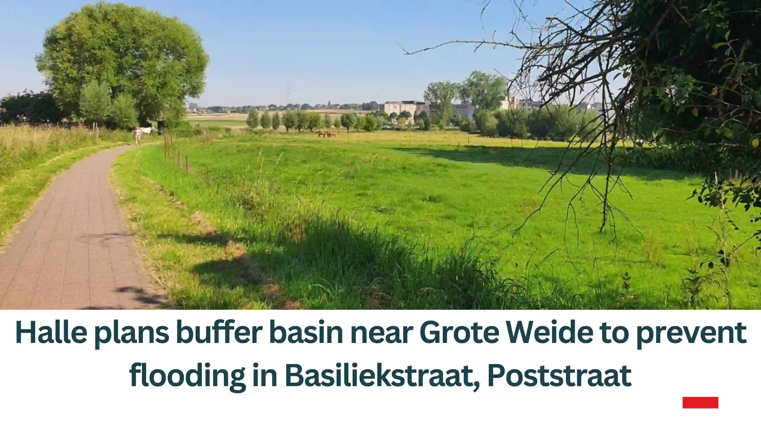 Halle-plans-buffer-basin-near-Grote-Weide-to-prevent-flooding-in-Basiliekstraat-Poststraa