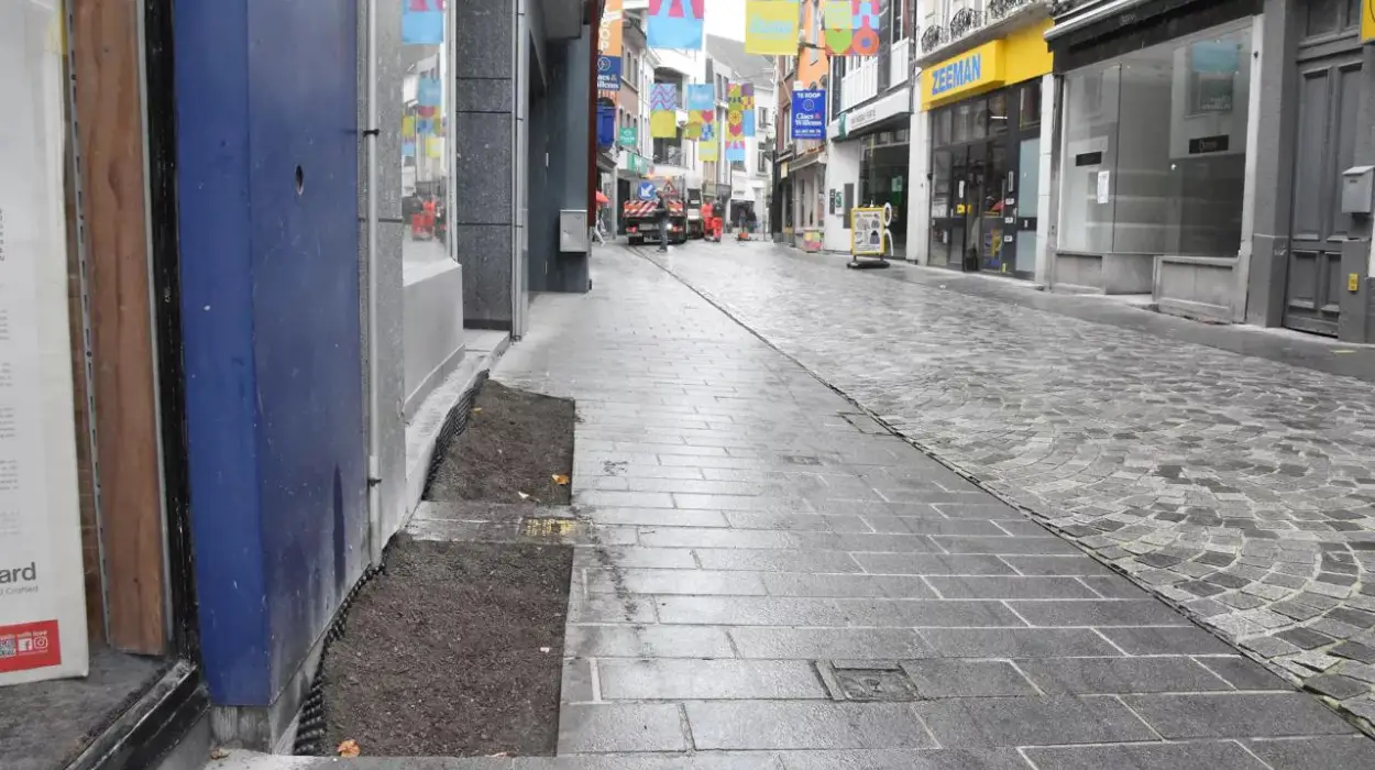 Halle's Mayor paused greening project after shop owners' complaints