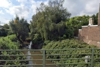 Halle's Zennepad reopens after €400k renovation 