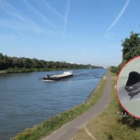 Harbor Porpoise at risk in Herentals, SOS Dolfijn alerts