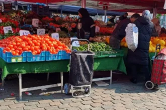 Harmful fruit fly found at Sint-Jans-Molenbeek market