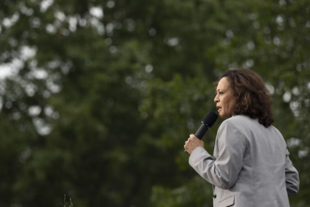 Harris “needed to take decisive action needed on the climate crisis” - claim