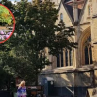 Hasselt Japanese Garden hosts Chrysanthemum Festival by Els Geerdens