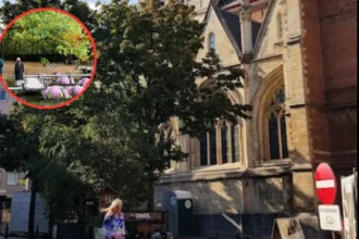 Hasselt Japanese Garden hosts Chrysanthemum Festival by Els Geerdens