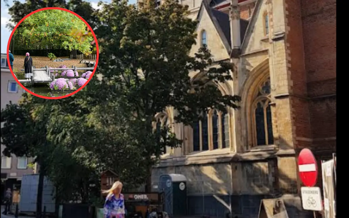 Hasselt Japanese Garden hosts Chrysanthemum Festival by Els Geerdens