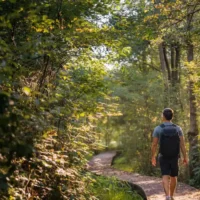 Hasselt guest plan 2026–2031 targets smart tourism growth