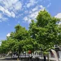 Hasselt launches Fashion and Design with 60 designers