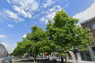 Hasselt launches Fashion and Design with 60 designers