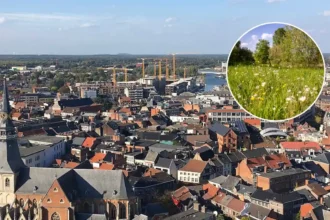 Hasselt restores Enkelenberg reserve with RLHV & Ward Andriessen