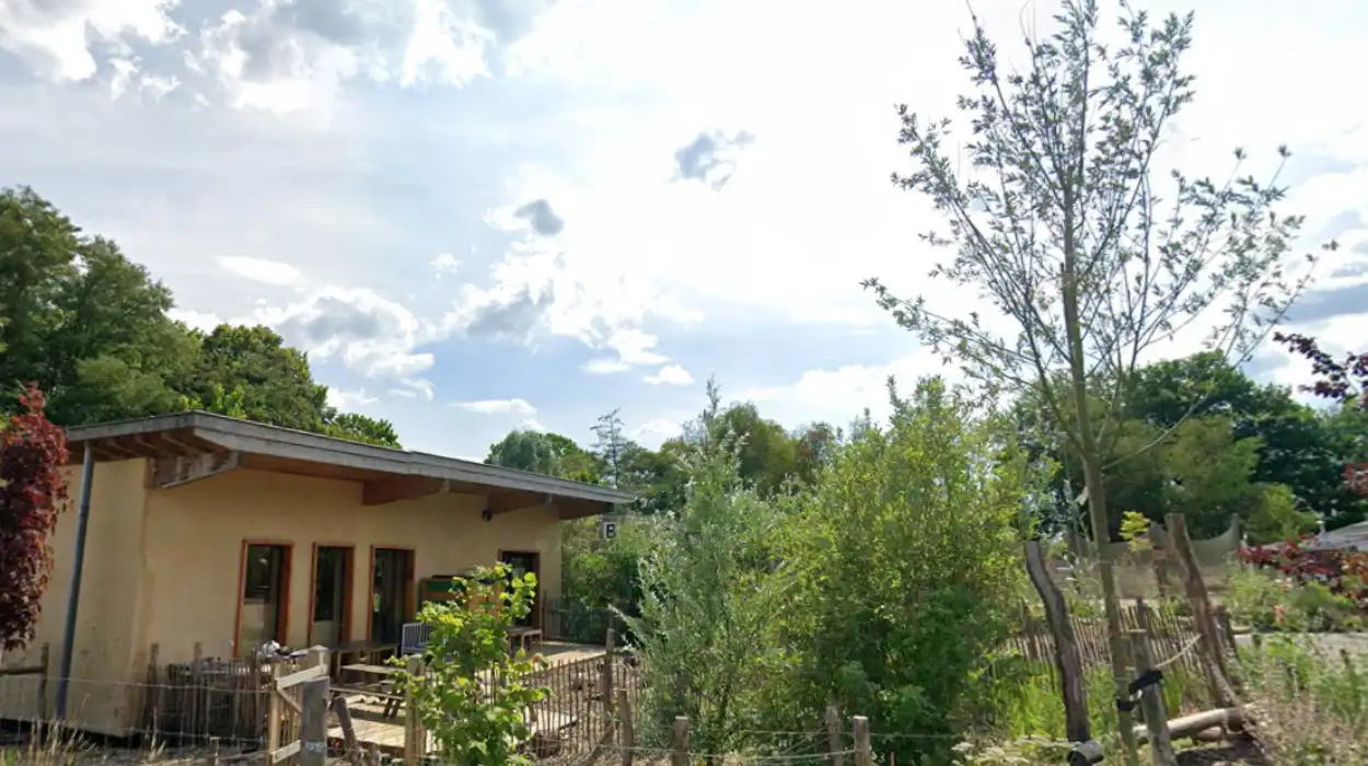 Hasselt school De Straal opens 2 new outdoor classrooms