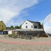 Hawk crashes through Brasschaat school window, VOC rescues it