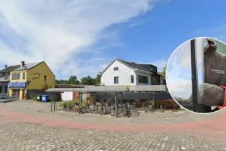 Hawk crashes through Brasschaat school window, VOC rescues it