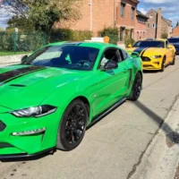 Herk-de-Stad hosts Limburg Mustang club blossom ride today
