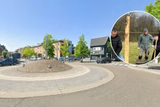 High-Stem orchard planned on former Rijkhoven football field