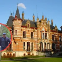 Hoeilaart to cut down 11 beech trees for safety