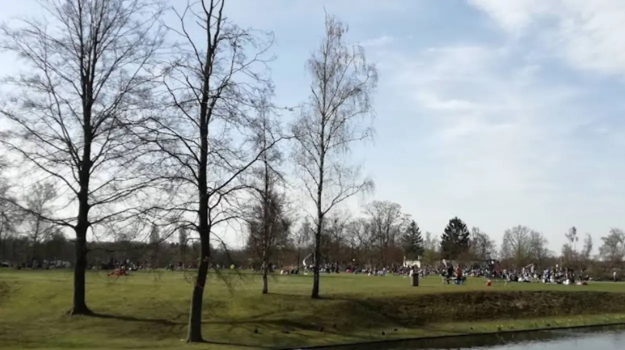 Hofstade residents protest 10,000 m³ soil plan, Van Den Brande defends