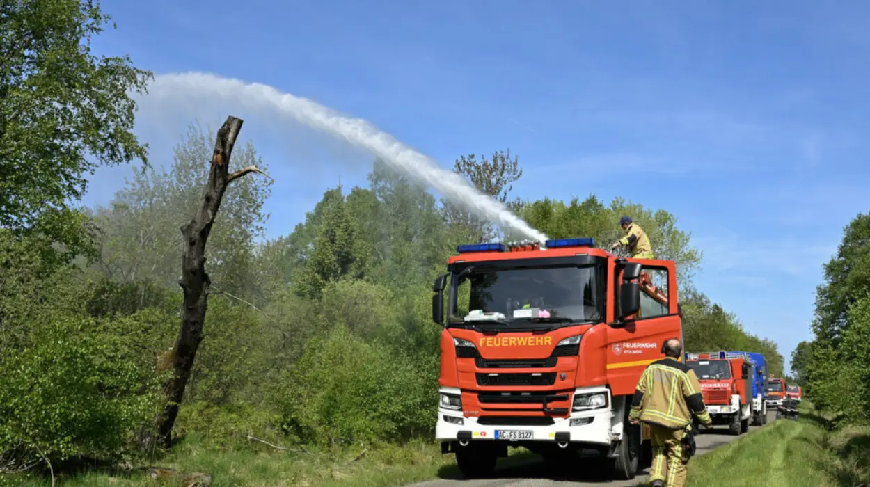 Hoge Kempen Limburg fire burns 50 hectares, arson suspected
