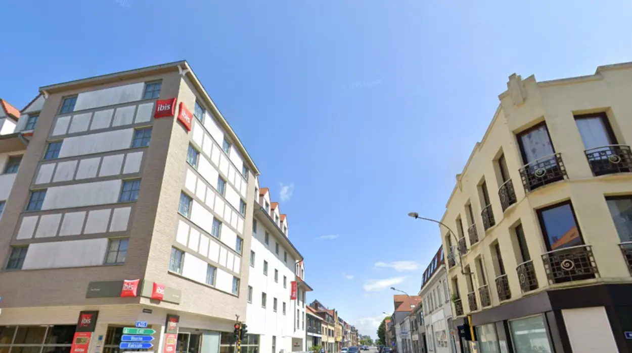 Hornet nest stops crane work in De Panne for a week
